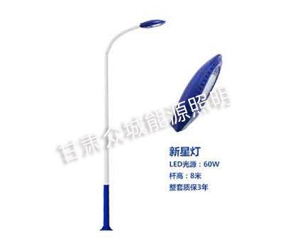 甘州爆款市电路灯